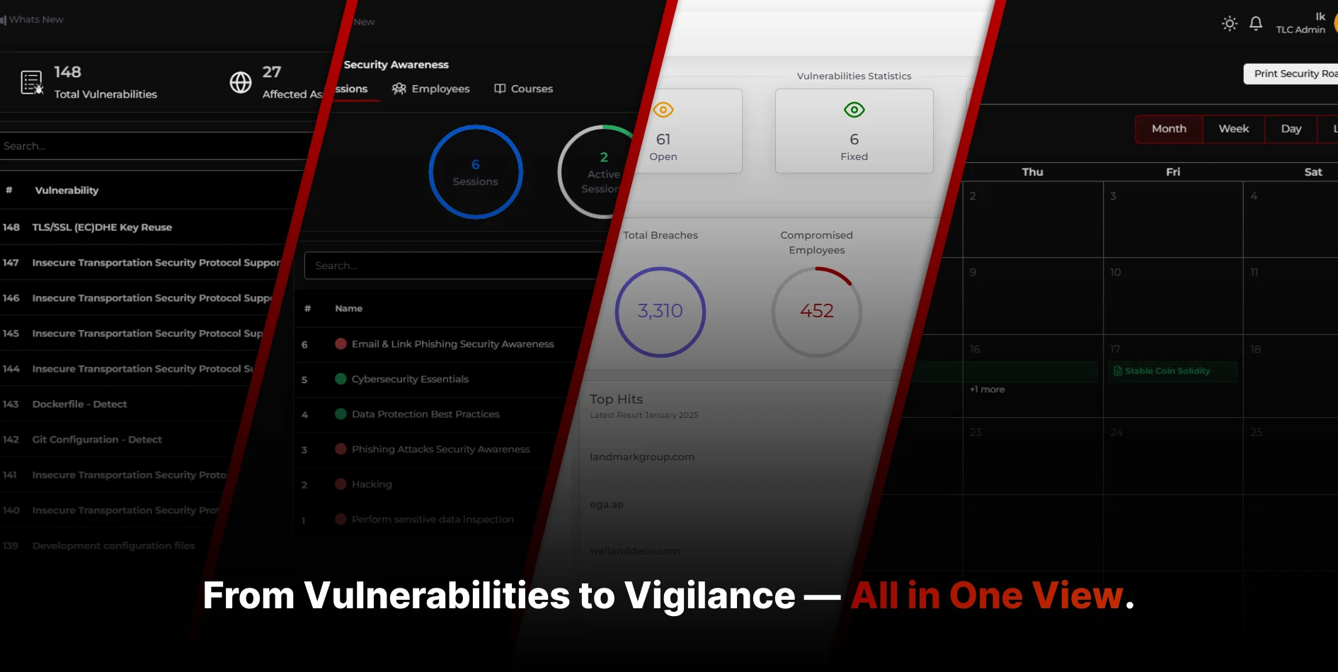 Client Dashboard - Femto Security
